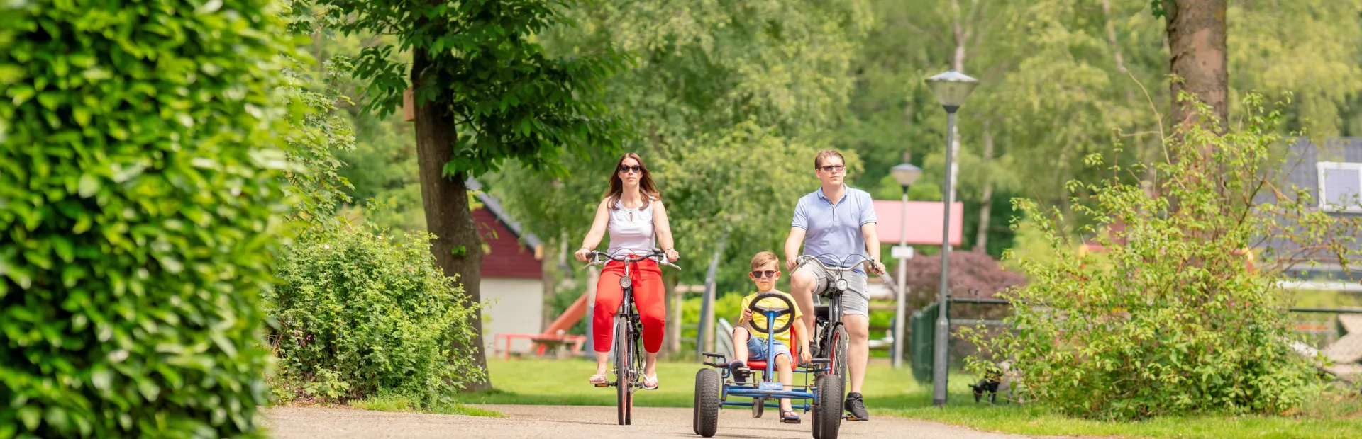 HET BOSMEER - Fiets en skelterverhuur
